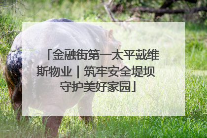 金融街第一太平戴维斯物业｜筑牢安全堤坝 守护美好家园