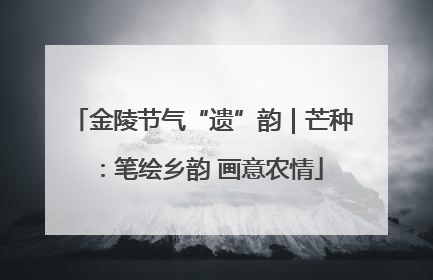 金陵节气“遗”韵｜芒种：笔绘乡韵 画意农情