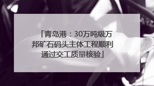 青岛港：30万吨级万邦矿石码头主体工程顺利通过交工质量核验