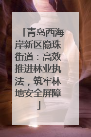 青岛西海岸新区隐珠街道：高效推进林业执法，筑牢林地安全屏障