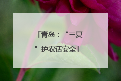 青岛：“三夏”护农话安全