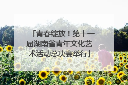 青春绽放！第十一届湖南省青年文化艺术活动总决赛举行