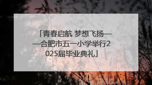 青春启航 梦想飞扬——合肥市五一小学举行2025届毕业典礼