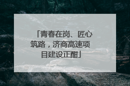 青春在岗、匠心筑路，济商高速项目建设正酣