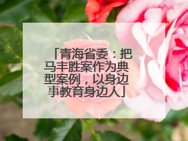 青海省委：把马丰胜案作为典型案例，以身边事教育身边人