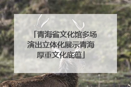 青海省文化馆多场演出立体化展示青海厚重文化底蕴
