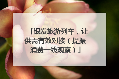 银发旅游列车，让供需有效对接（提振消费一线观察）