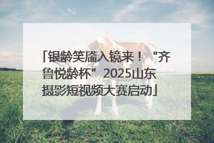 银龄笑靥入镜来！“齐鲁悦龄杯”2025山东摄影短视频大赛启动