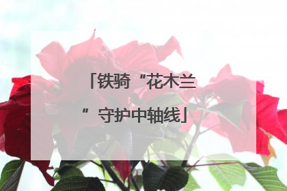 铁骑“花木兰”守护中轴线