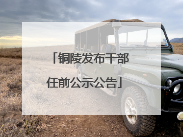 铜陵发布干部任前公示公告