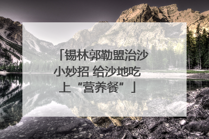 锡林郭勒盟治沙小妙招 给沙地吃上“营养餐”