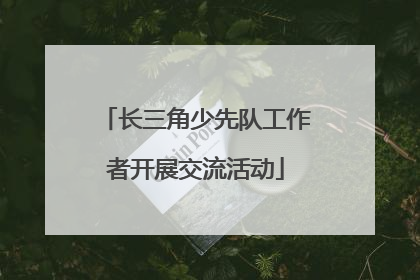 长三角少先队工作者开展交流活动