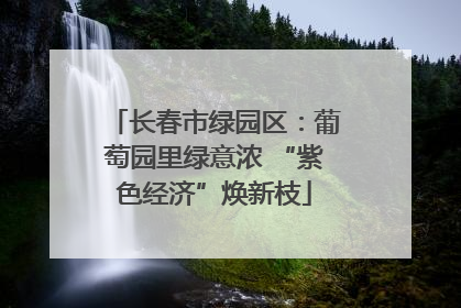 长春市绿园区：葡萄园里绿意浓 “紫色经济”焕新枝