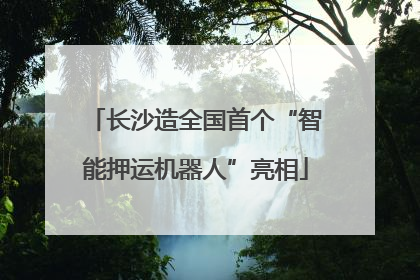 长沙造全国首个“智能押运机器人”亮相