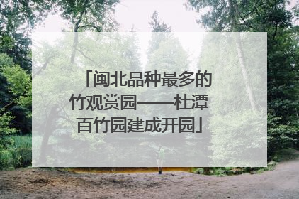 闽北品种最多的竹观赏园——杜潭百竹园建成开园