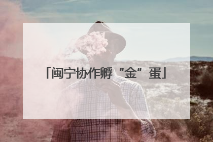 闽宁协作孵“金”蛋