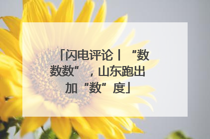 闪电评论丨“数数数”，山东跑出加“数”度