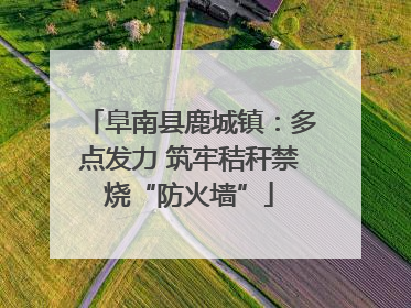 阜南县鹿城镇：多点发力 筑牢秸秆禁烧“防火墙”