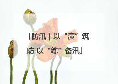 防汛｜以“演”筑防 以“练”备汛