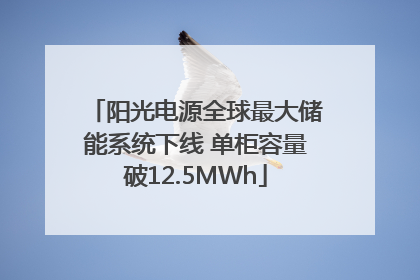 阳光电源全球最大储能系统下线 单柜容量破12.5MWh