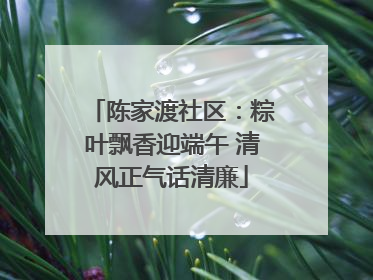 陈家渡社区：粽叶飘香迎端午 清风正气话清廉