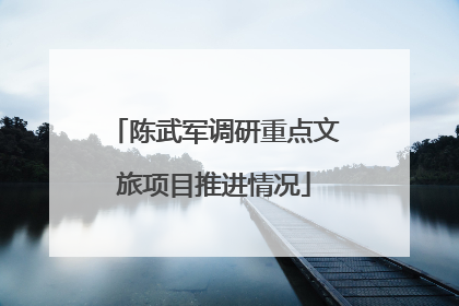 陈武军调研重点文旅项目推进情况