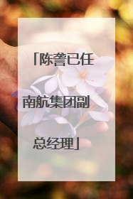 陈詟已任南航集团副总经理