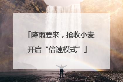 降雨要来，抢收小麦开启“倍速模式”