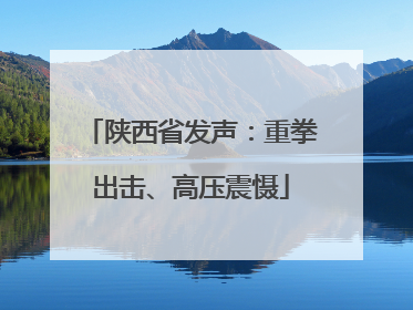 陕西省发声：重拳出击、高压震慑