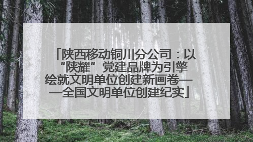 陕西移动铜川分公司：以“陕耀”党建品牌为引擎 绘就文明单位创建新画卷——全国文明单位创建纪实