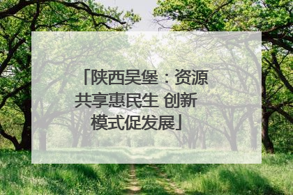 陕西吴堡：资源共享惠民生 创新模式促发展