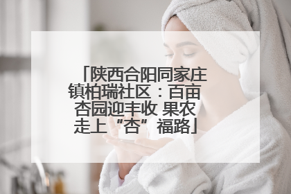 陕西合阳同家庄镇柏瑞社区：百亩杏园迎丰收 果农走上“杏”福路