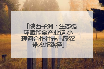 陕西子洲：生态循环赋能全产业链 小理河合作社走出联农带农新路径