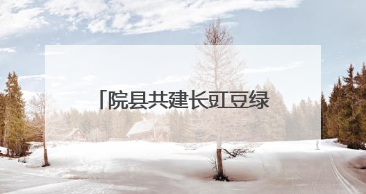 院县共建长豇豆绿色发展培训会举办
