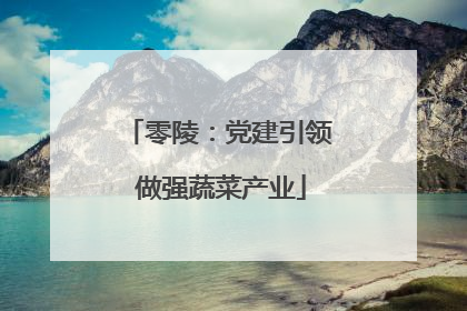 零陵：党建引领 做强蔬菜产业