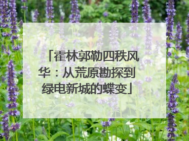 霍林郭勒四秩风华：从荒原勘探到绿电新城的蝶变