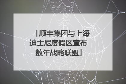 顺丰集团与上海迪士尼度假区宣布数年战略联盟