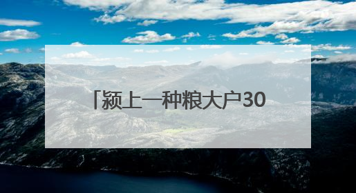 颍上一种粮大户3000余亩小麦喜丰收