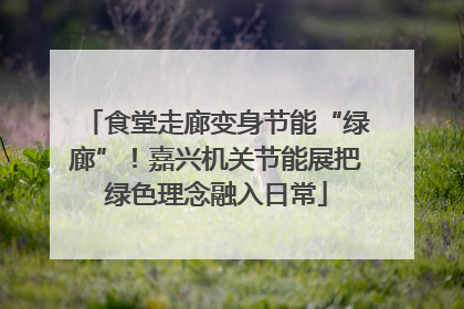 食堂走廊变身节能“绿廊”！嘉兴机关节能展把绿色理念融入日常