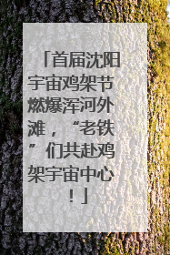 首届沈阳宇宙鸡架节燃爆浑河外滩，“老铁”们共赴鸡架宇宙中心！