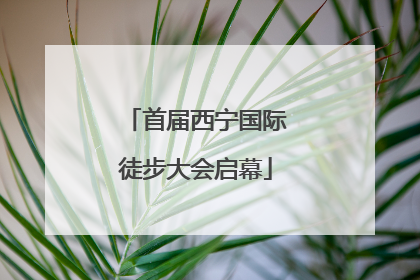 首届西宁国际徒步大会启幕