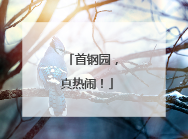 首钢园，真热闹！