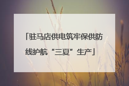 驻马店供电筑牢保供防线护航“三夏”生产
