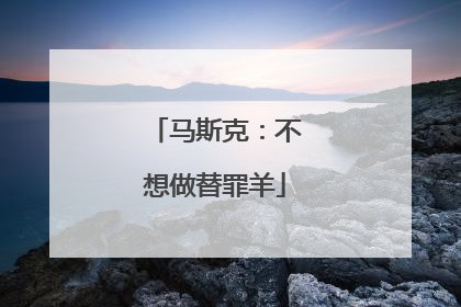 马斯克：不想做替罪羊