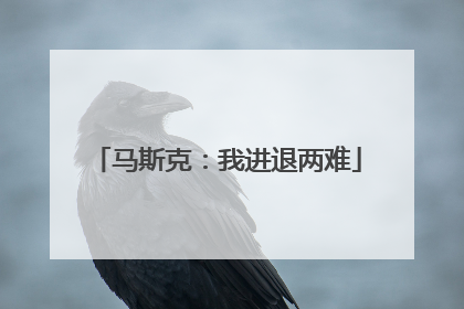 马斯克：我进退两难