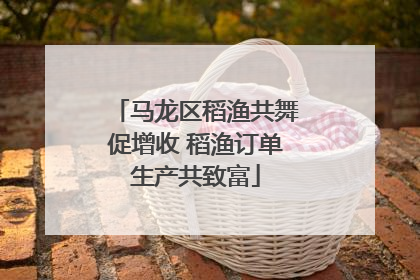 马龙区稻渔共舞促增收 稻渔订单生产共致富