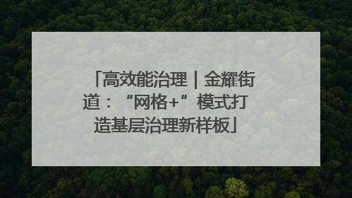 高效能治理｜金耀街道：“网格+”模式打造基层治理新样板