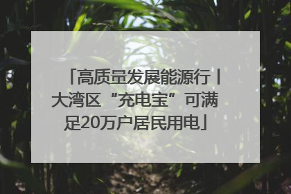 高质量发展能源行丨大湾区“充电宝”可满足20万户居民用电