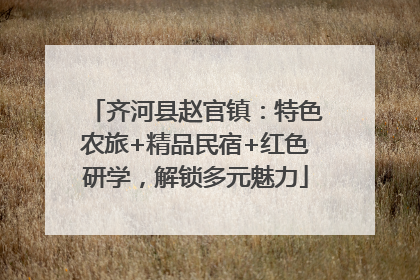 齐河县赵官镇：特色农旅+精品民宿+红色研学，解锁多元魅力