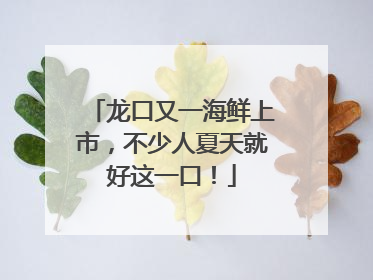龙口又一海鲜上市，不少人夏天就好这一口！